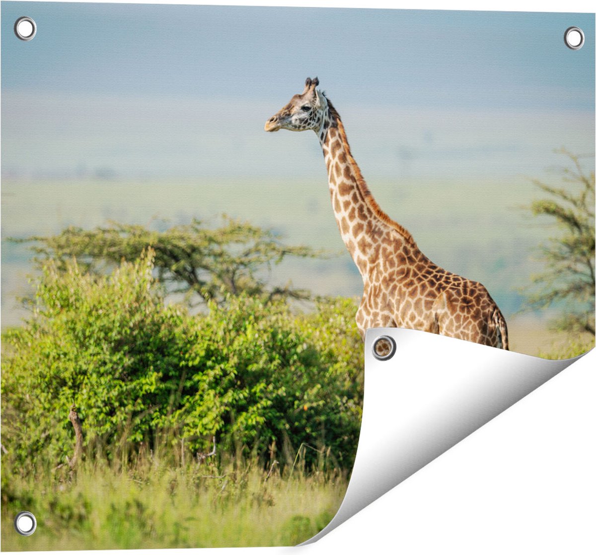 Gards Tuinposter Giraffe in het Wild tussen de Struiken - 50x40 cm - Tuindoek - Tuindecoratie - Wanddecoratie buiten - Tuinschilderij Multikleur