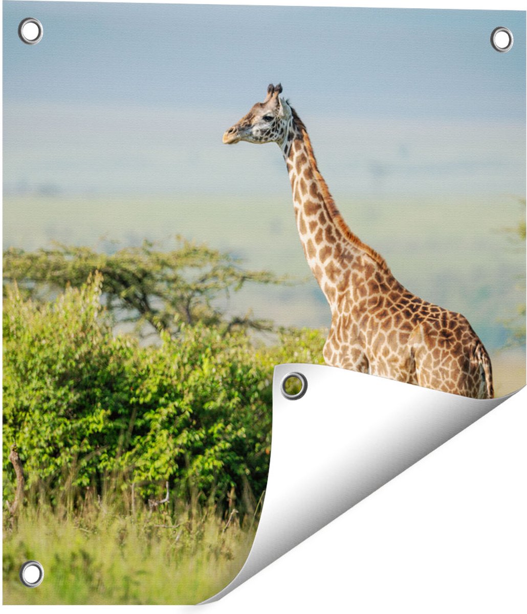Gards Tuinposter Giraffe in het Wild tussen de Struiken - 40x40 cm - Tuindoek - Tuindecoratie - Wanddecoratie buiten - Tuinschilderij Multikleur