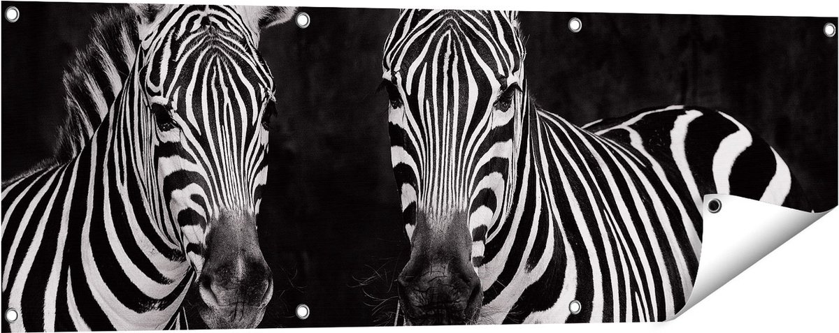 Gards Tuinposter Twee Zebra's - Zwart Wit - 120x40 cm - Tuindoek - Tuindecoratie - Wanddecoratie buiten - Tuinschilderij Multikleur