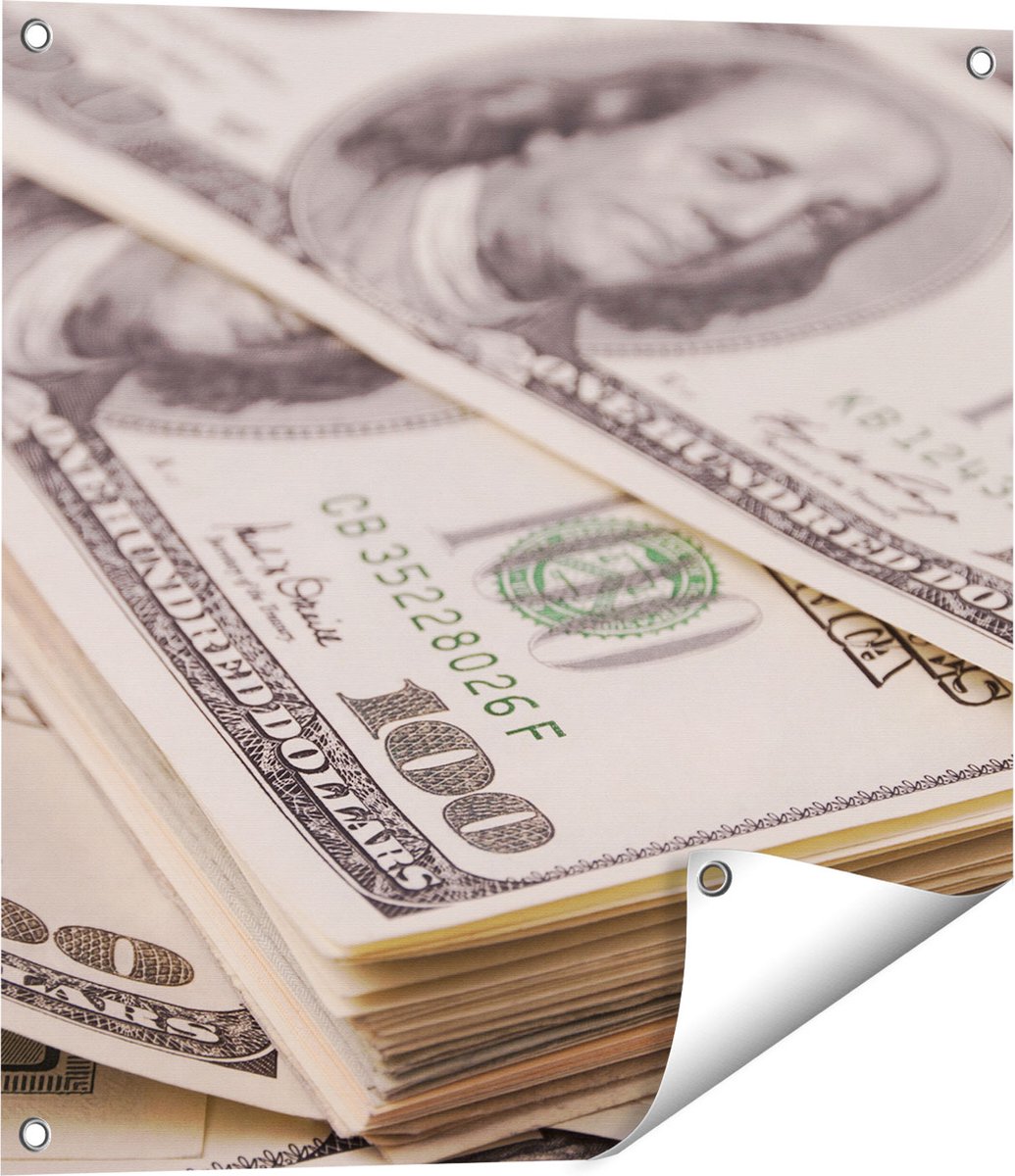 Gards Tuinposter Dollar Geld Briefjes - 60x60 cm - Tuindoek - Tuindecoratie - Wanddecoratie buiten - Tuinschilderij Multikleur