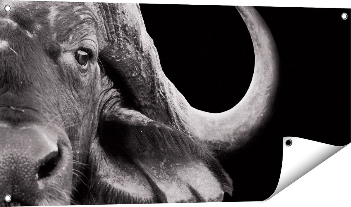 Gards Tuinposter Buffel - Buffelkop - Zwart Wit - 100x50 cm - Tuindoek - Tuindecoratie - Wanddecoratie buiten - Tuinschilderij Multikleur