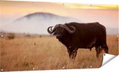 Gards Tuinposter Buffel in het Gras - 160x80 cm - Tuindoek - Tuindecoratie - Wanddecoratie buiten - Tuinschilderij