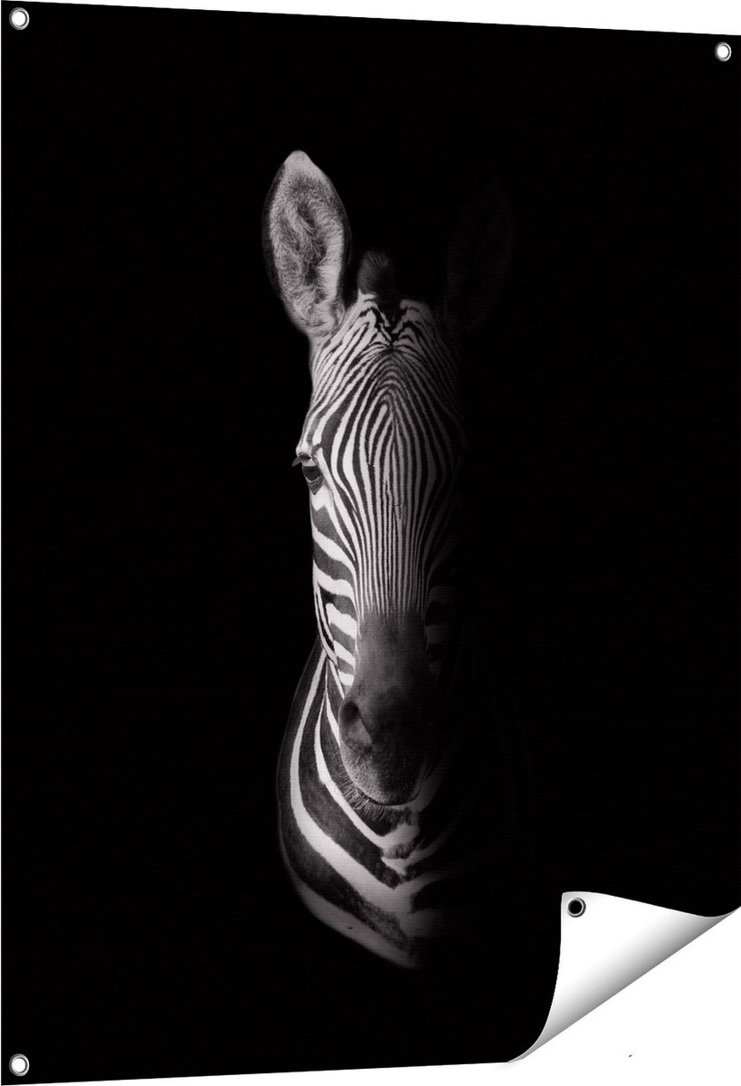 Gards Tuinposter Halve Zebra - Zwart Wit - 80x100 cm - Tuindoek - Tuindecoratie - Wanddecoratie buiten - Tuinschilderij Multikleur