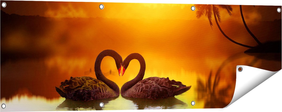 Gards Tuinposter Twee Zwarte Zwanen in een Hart Vorm - 120x40 cm - Tuindoek - Tuindecoratie - Wanddecoratie buiten - Tuinschilderij Multikleur