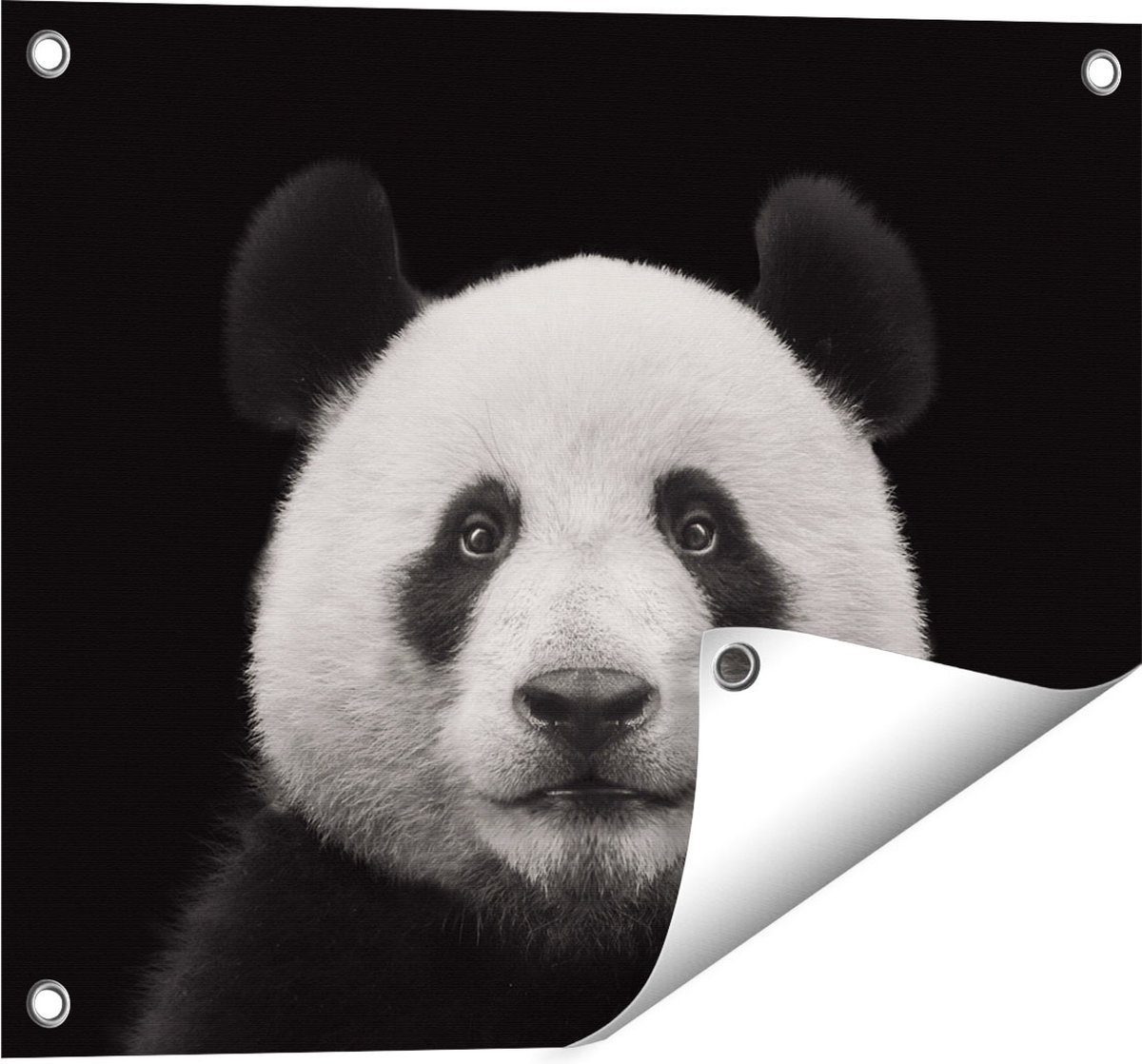 Gards Tuinposter Panda - Pandakop - 50x40 cm - Tuindoek - Tuindecoratie - Wanddecoratie buiten - Tuinschilderij Multikleur