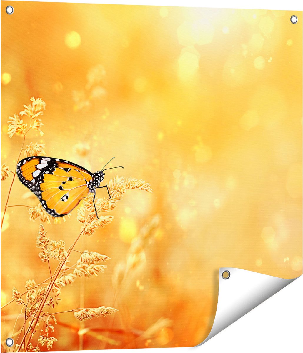 Gards Tuinposter Oranje Vlinder in het Oranje Veld - 70x70 cm - Tuindoek - Tuindecoratie - Wanddecoratie buiten - Tuinschilderij Multikleur