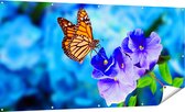 Gards Tuinposter Oranje Vlinder bij Paarse Bloemen - 180x90 cm - Tuindoek - Tuindecoratie - Wanddecoratie buiten - Tuinschilderij