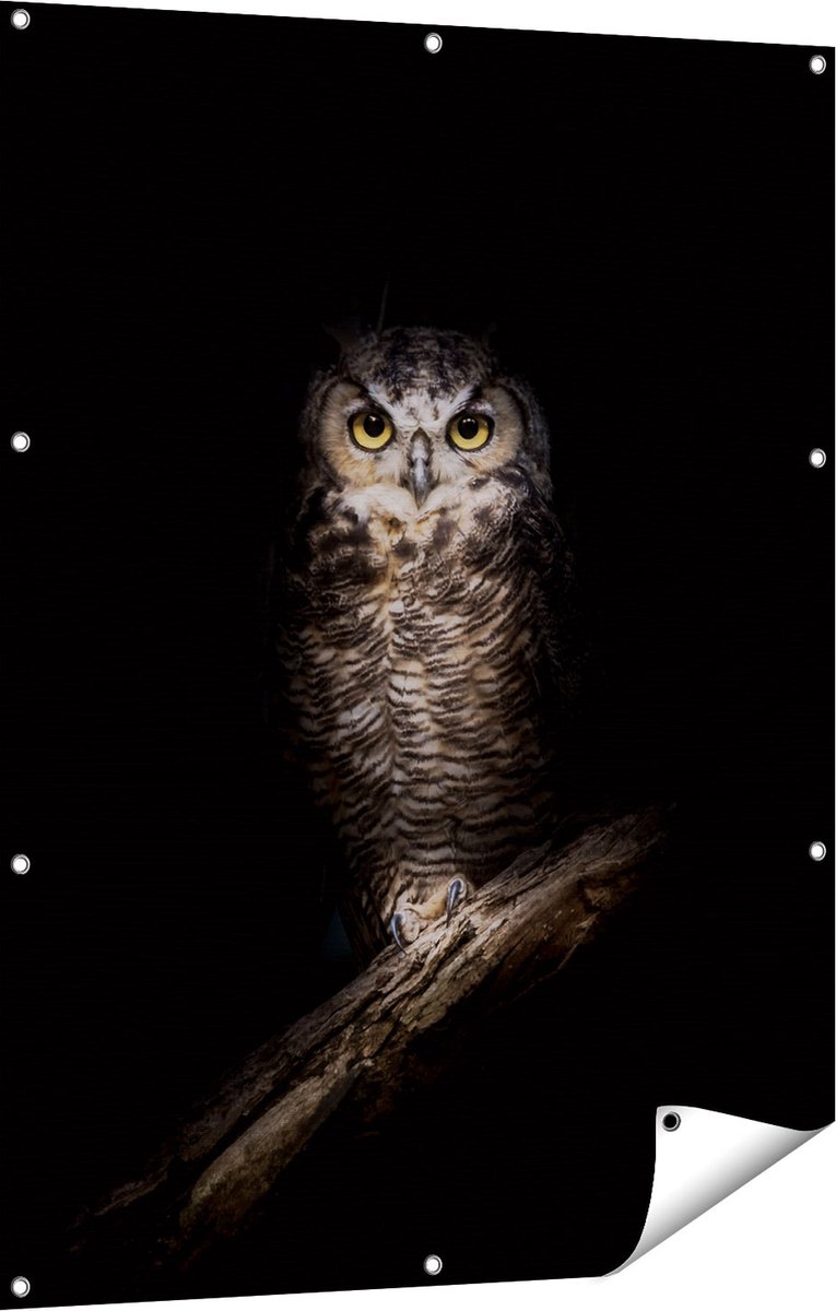 Gards Tuinposter Uil op een Tak in de Nacht - 90x120 cm - Tuindoek - Tuindecoratie - Wanddecoratie buiten - Tuinschilderij Multikleur