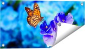 Gards Tuinposter Oranje Vlinder bij Paarse Bloemen - 60x30 cm - Tuindoek - Tuindecoratie - Wanddecoratie buiten - Tuinschilderij