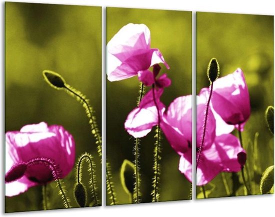 Glasschilderij Klaproos - Roze, Groen, Wit - 120x80cm 3Luik - Foto Op Glas - Geen Acrylglas Schilderij - GroepArt 6000+ Glas Art Collectie - Maatwerk Mogelijk