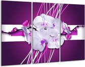 Glasschilderij Orchidee - Paars, Wit - 120x80cm 3Luik - Foto Op Glas - Geen Acrylglas Schilderij - GroepArt 6000+ Glas Art Collectie - Maatwerk Mogelijk