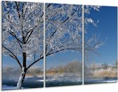 Glasschilderij Bos - Blauw, Wit, Grijs - 120x80cm 3Luik - Foto Op Glas - Geen Acrylglas Schilderij - GroepArt 6000+ Glas Art Collectie - Maatwerk Mogelijk