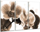 Glasschilderij Orchidee - Grijs, Wit - 120x80cm 3Luik - Foto Op Glas - Geen Acrylglas Schilderij - GroepArt 6000+ Glas Art Collectie - Maatwerk Mogelijk