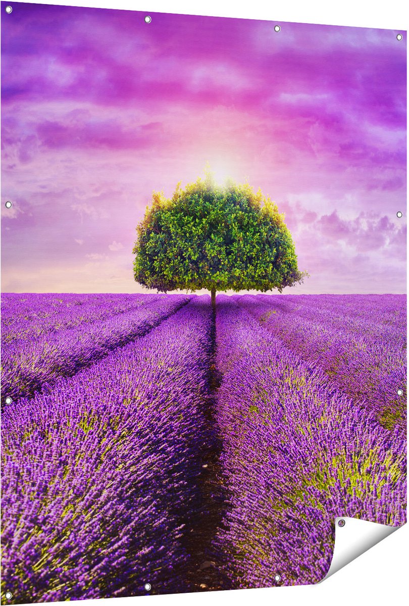 Gards Tuinposter Groene Boom in de Lavendel Bloemen - 120x150 cm - Tuindoek - Tuindecoratie - Wanddecoratie buiten - Tuinschilderij Multikleur