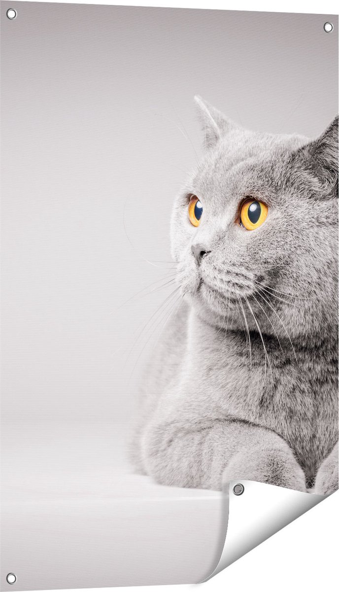 Gards Tuinposter Grijze Kat met Oranje Ogen - 60x90 cm - Tuindoek - Tuindecoratie - Wanddecoratie buiten - Tuinschilderij Multikleur