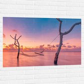 Muursticker - Hangmat tussen Kale Takken in de Zee tijdens Zonsondergang - 120x80 cm Foto op Muursticker