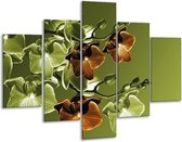 Peinture sur verre d'orchidée | Vert, marron | 100x70cm 5Liège | Tirage photo sur verre | F002743