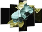 Peinture sur verre d'orchidée | Bleu, noir, vert | 100x70cm 5Liège | Tirage photo sur verre |  F003778