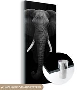 Glasschilderij - Foto op glas - Dieren - Olifant - Zwart - Wit - Acrylglas - 80x160 cm - Glasschilderij olifant - Muurdecoratie glas - Glasschilderij zwart wit - Kamer decoratie