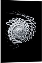 Acrylglas - Wit Slakvormig Object tegen Zwarte Achtergrond - 60x90 cm Foto op Acrylglas (Met Ophangsysteem)
