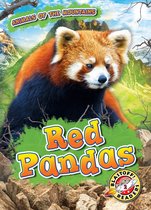 Animals of the Mountains - Red Pandas