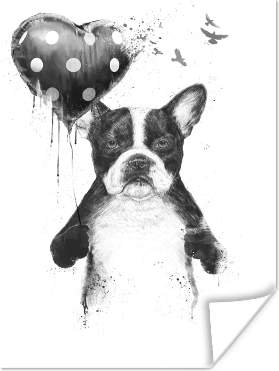 Poster Hond - Ballon - Stippen - Vogels - 60x80 cm