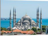 Dibond - Sultan Ahmet Moskee aan de Zee van Turkije - 80x60 cm Foto op Aluminium (Wanddecoratie van metaal)