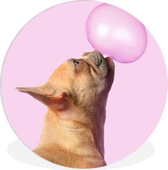WallCircle - Wall Circle - Wall Circle Indoor - Chien - Animaux - Chewing Gum - Rose - 30x30 cm - Décoration murale - Peintures Ronds
