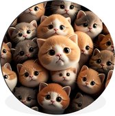 WallCircle - Wandcirkel - Muurcirkel - Katten - Huisdieren - Kitten - Design - Jongens - Meisjes - Aluminium - Dibond - ⌀ 60 cm - Binnen en Buiten
