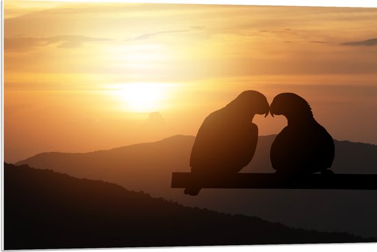 PVC Schuimplaat- Silhouet van Verliefd Duivenkoppel tijdens Zonsondergang - 90x60 cm Foto op PVC Schuimplaat