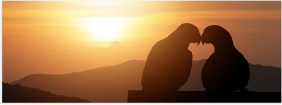 Poster Glanzend – Silhouet van Verliefd Duivenkoppel tijdens Zonsondergang - 150x50 cm Foto op Posterpapier met Glanzende Afwerking