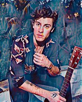 Shawn Mendes 3 - Poster - 50 x 70 cm