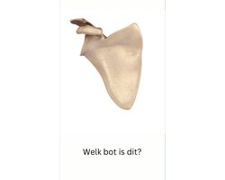 JDN Education Care Leerkaarten Anatomie Botten