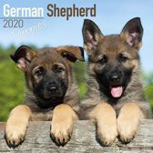 Duitse Herder Kalender Puppies 2020
