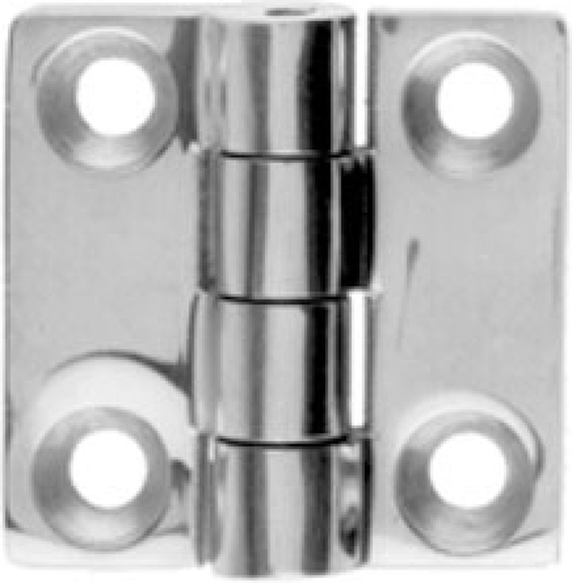 Scharnier 50 x 50 mm RVS-316 (A4)