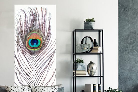 Poster Pauwenveren - Blauw - Veer - Pauw - Dieren - 80x160 cm