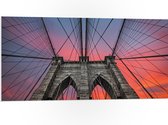 PVC Schuimplaat- Uitzicht vanaf Brooklyn Bridge, New York City - 100x50 cm Foto op PVC Schuimplaat
