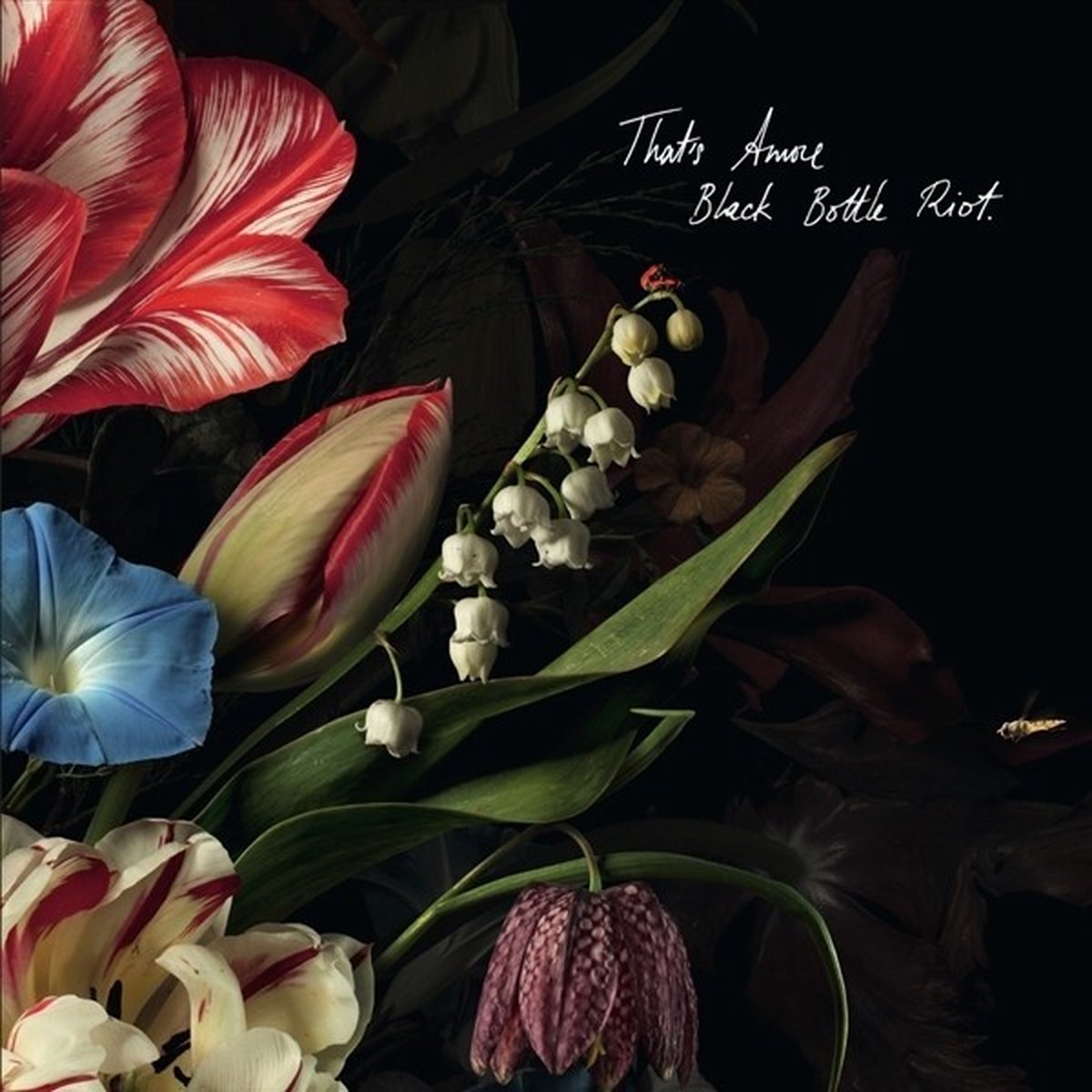 Black Bottle Riot - That's Amore (LP)