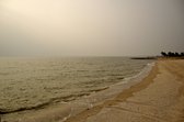 Dibond - Zee / Water / Strand - Strand in beige / bruin / wit / zwart - 80 x 120 cm