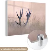 MuchoWow® Glasschilderij 120x80 cm - Schilderij acrylglas - Gewei - Hert - Gras - Natuur - Foto op glas - Schilderijen