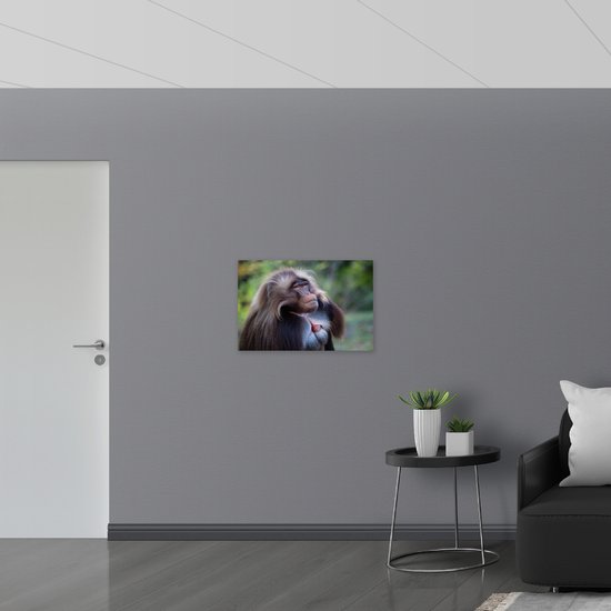 Poster Glanzend – Opzijkijkende Gelada Aap - 75x50 cm Foto op Posterpapier met Glanzende Afwerking