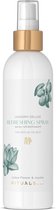 Bol.com RITUALS The Ritual of Jing Refreshing Spray - 250 ml aanbieding