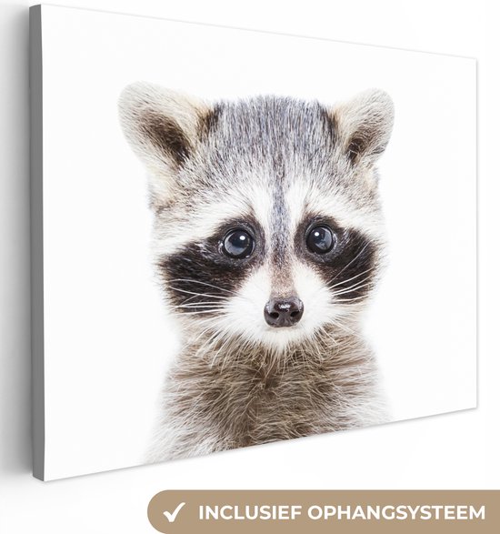 Canvas Schilderij Wasbeer - Dieren - Natuur - Wit - 40x30 cm - Wanddecoratie