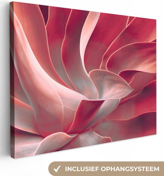 Canvas Schilderij Stilleven - Bladeren - Plant - Roze - 80x60 cm - Wanddecoratie