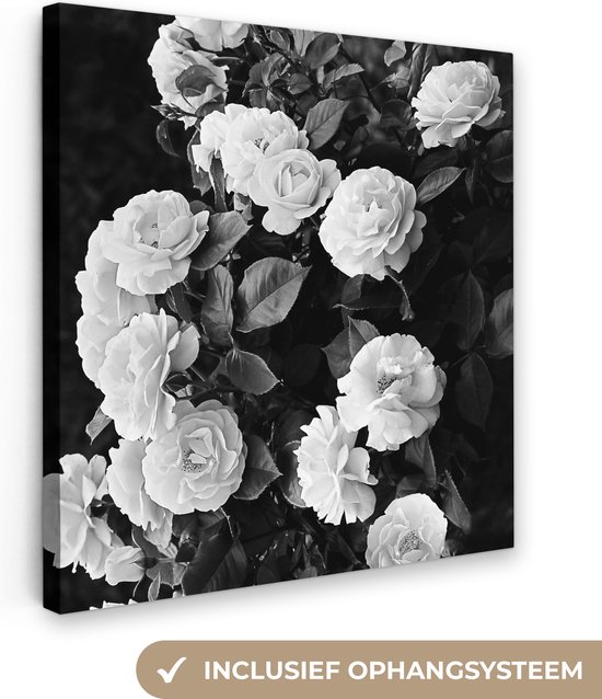 Canvas Schilderij Bloemen - Zwart wit - Natuur - Planten - Rozen - 50x50 cm - Wanddecoratie