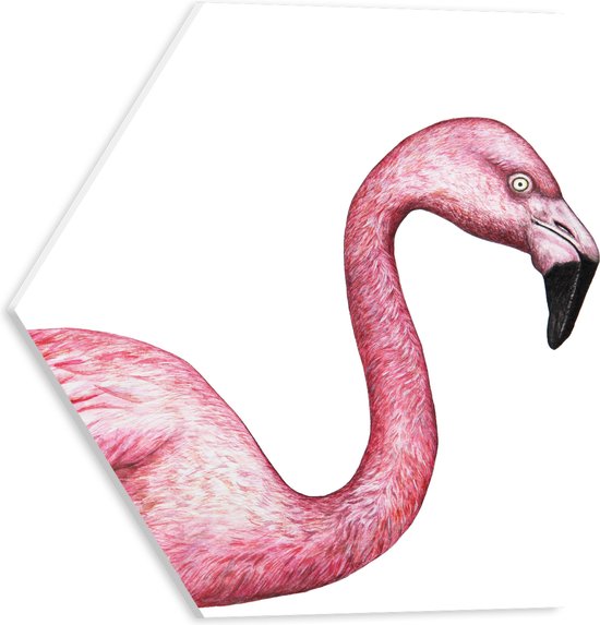 PVC Schuimplaat Hexagon - Tekening van een Roze Flamingo - 40x34.8 cm Foto op Hexagon (Met Ophangsysteem)