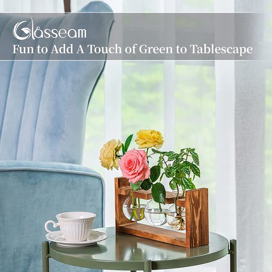 2 Pièces Vase En Tube à Essai Avec Cadre En Bois - Pour Propagation Plantes Hydroponiques, Décoration Bureau Domicile (2 Tubes Inclus