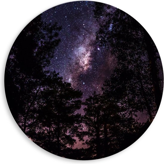 PVC Schuimplaat Muurcirkel - Heldere Galaxy Hemel tussen de Boomtoppen van het Bos - 80x80 cm Foto op Muurcirkel (met ophangsysteem)