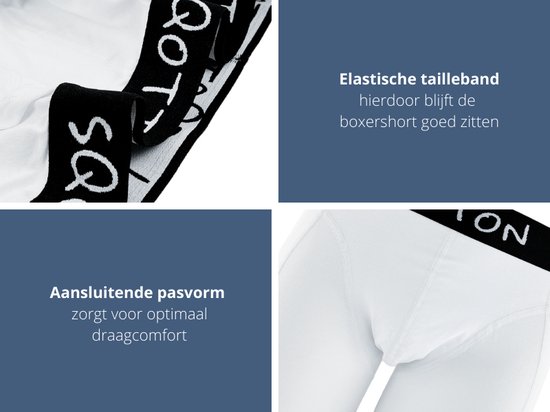 Caleçon - SQOTTON® - Basic - Wit - Taille XXL