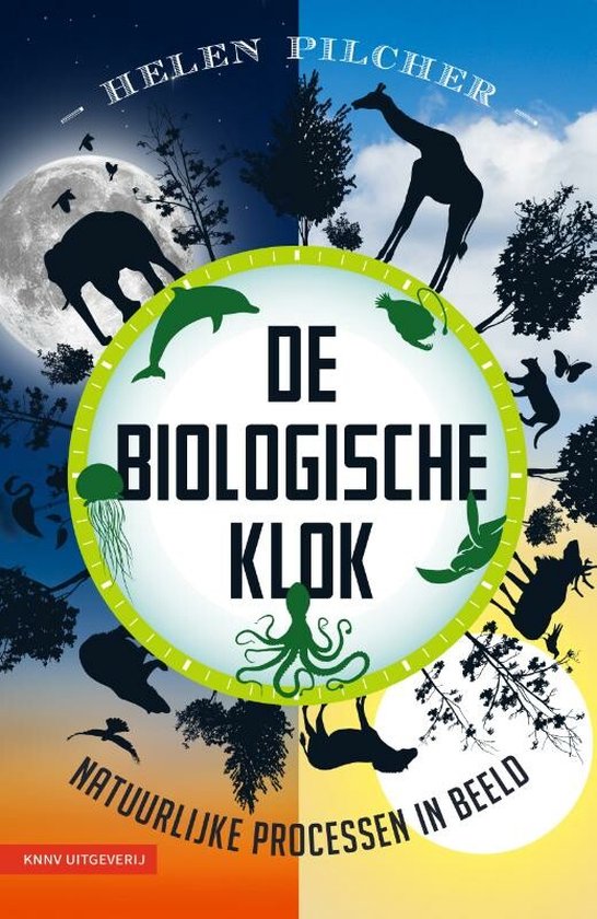 Foto: De biologische klok